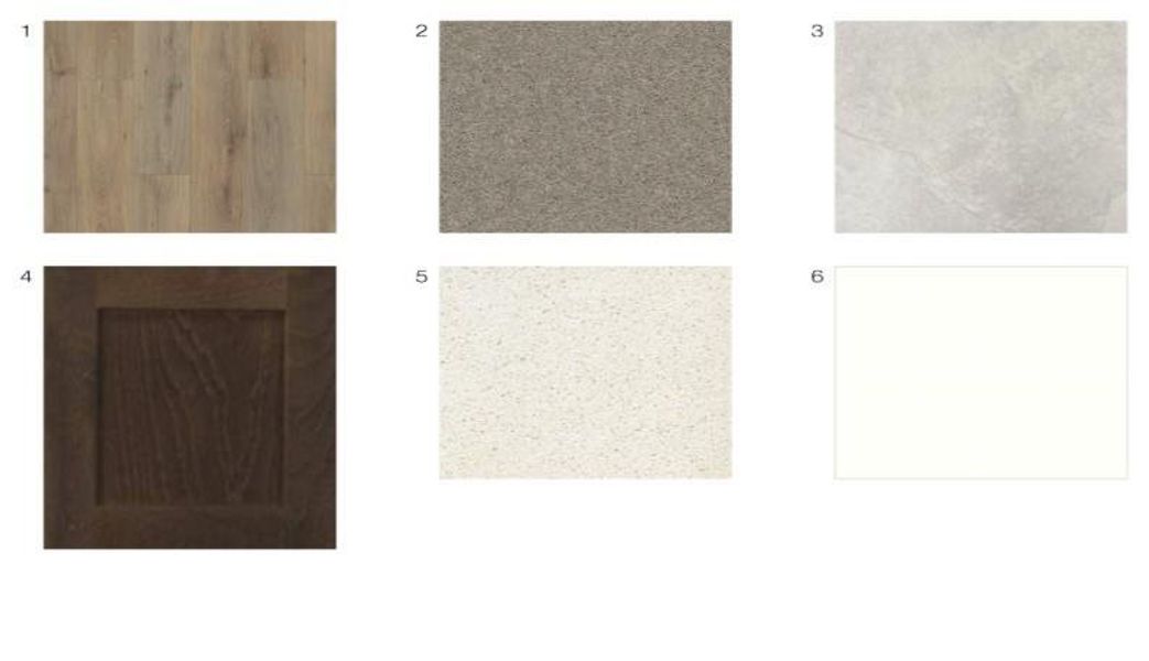 9738 Westminster Manor Drive design selections! This home is currently under construction and selections are subject to change