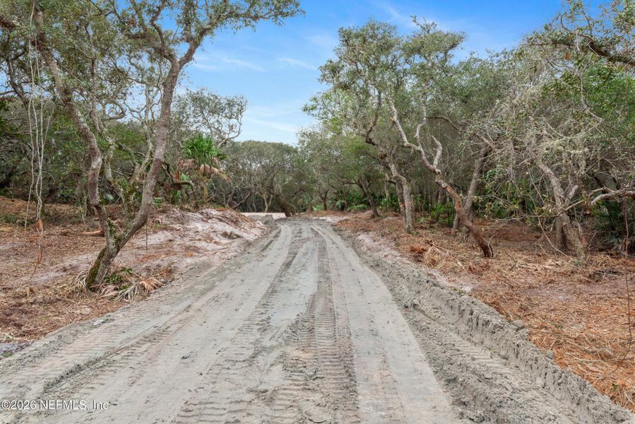 Natural landscape and outdoor views near  in Ponte Vedra Beach (Image 7).
