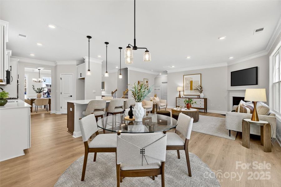 Furnished interior view inside a new home in Falls Cove, Troutman (Image 7).