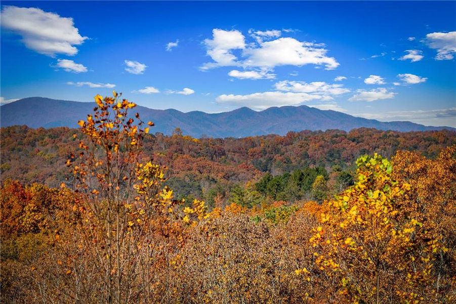 Natural landscape and outdoor views near  in Blue Ridge (Image 42).