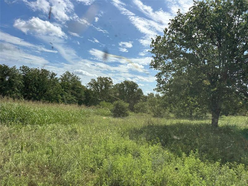Expansive open field with natural greenery, featuring scattered mature trees and a distant tree line Expansive open field with natural greenery, featuring scattered mature trees and a distant tree line