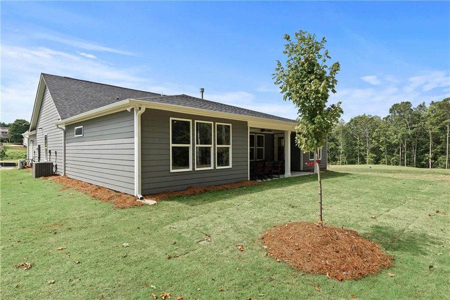 Exterior details and patio area of a home in Watermist at Mirror Lake, Villa Rica (Image 4).