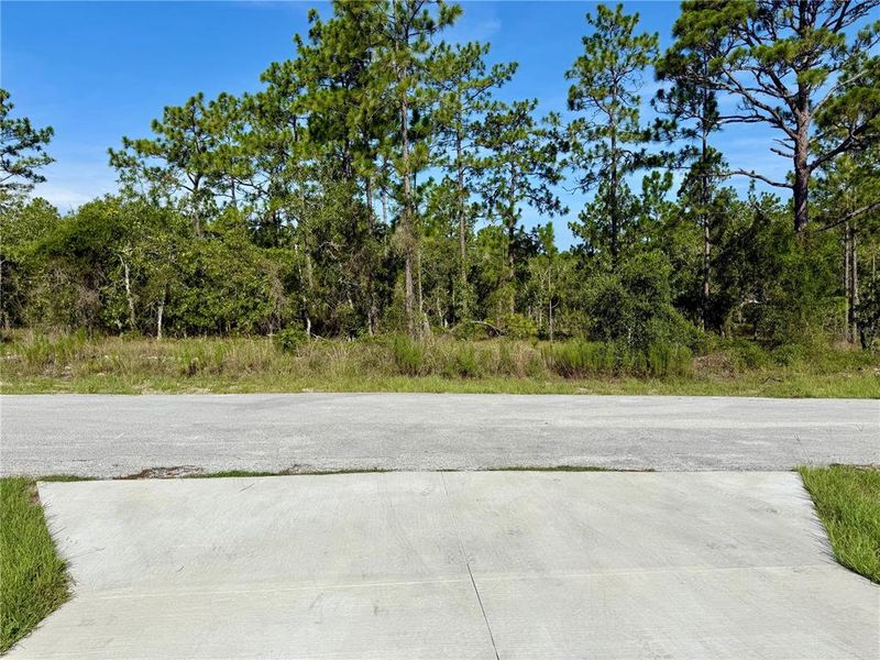 Natural landscape and outdoor views near in Dunnellon (Image 14). Natural landscape and outdoor views near in Dunnellon (Image 14).