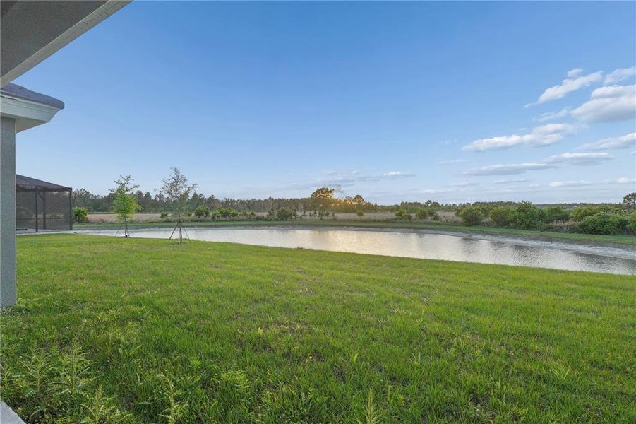 Exterior details and patio area of a home in , Zephyrhills (Image 29).