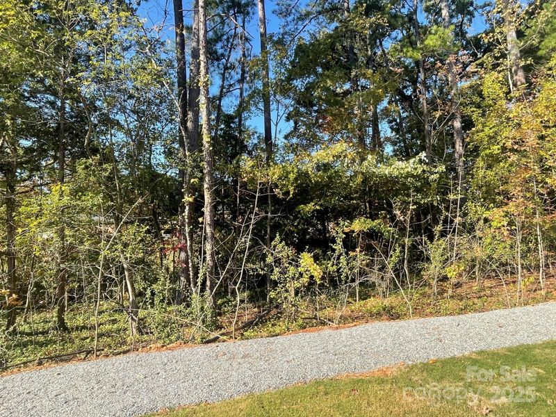 Natural landscape and outdoor views near Arbor Village in Matthews (Image 25).
