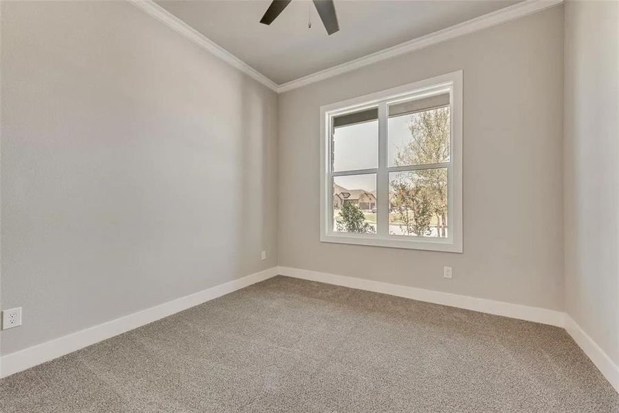 Unfurnished room featuring light carpet, ornamental molding, and a ceiling fan