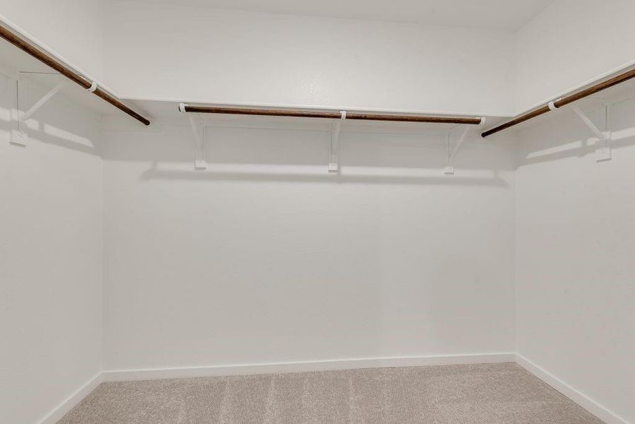 Spacious closet featuring carpet flooring