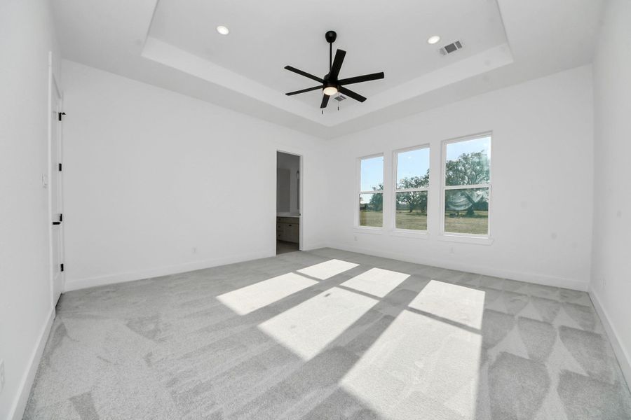 Primary suite with architectural ceiling