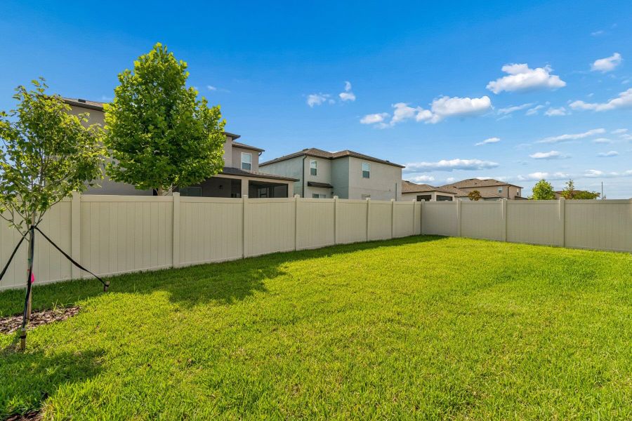 Backyard Backyard