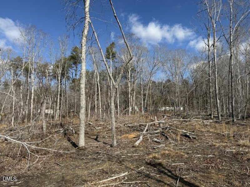 IMG_3252 Medium IMG_3252 Medium