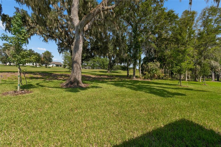 Natural landscape and outdoor views near  in Brooksville (Image 43).