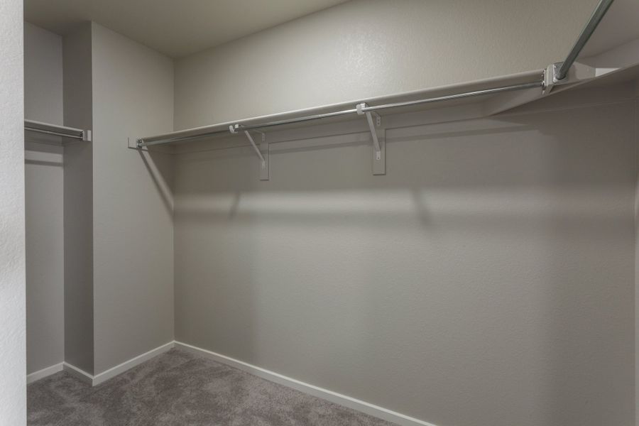 Spacious, unfurnished interior of a new home in Trailside, Timnath (Image 25).