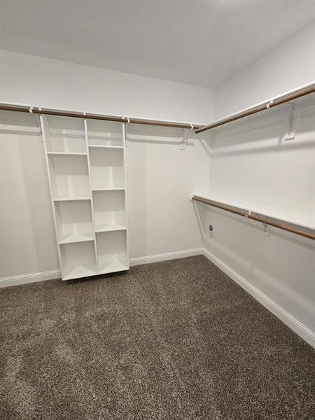 Walk in closet featuring carpet flooring