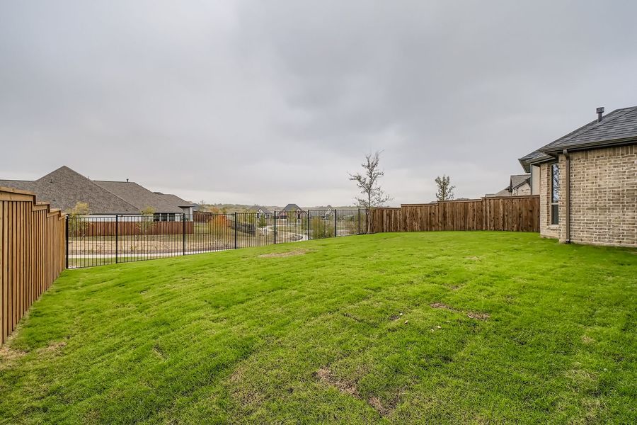 150 Longhorn - Backyard