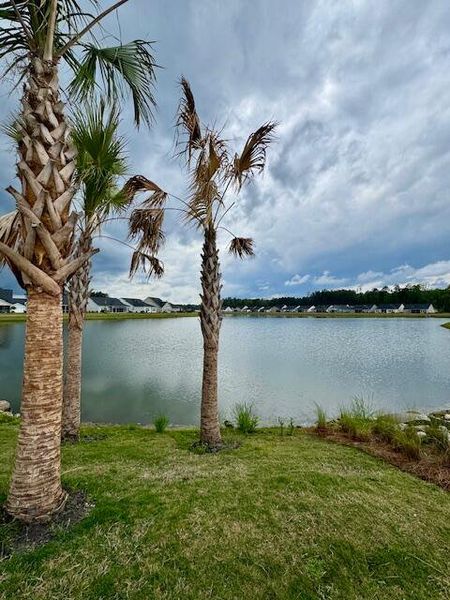 Natural landscape and outdoor views near Horizons at Summers Corner | 55+ in Summerville (Image 24).