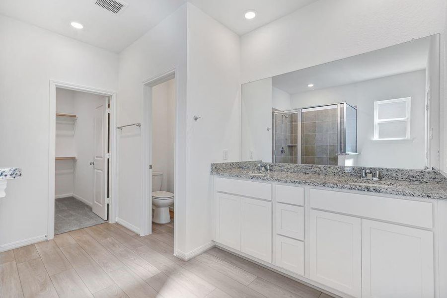 615 Yaupon Holly ~ Ready Now 615 Yaupon Holly ~ Ready Now