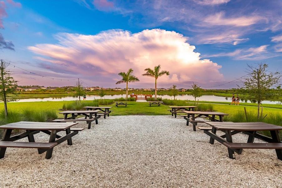 Community amenities in , Sarasota (Image 59).