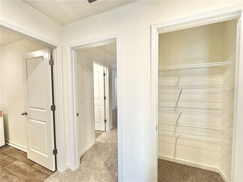 *Photo is from similar Palomino. Actual pics will *Photo is from similar Palomino. Actual pics will