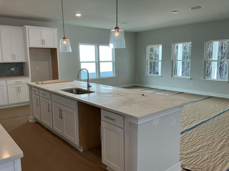 In-progress construction of a new home in Tea Farm: Presidents Series, Ravenel, SC (Image 16).