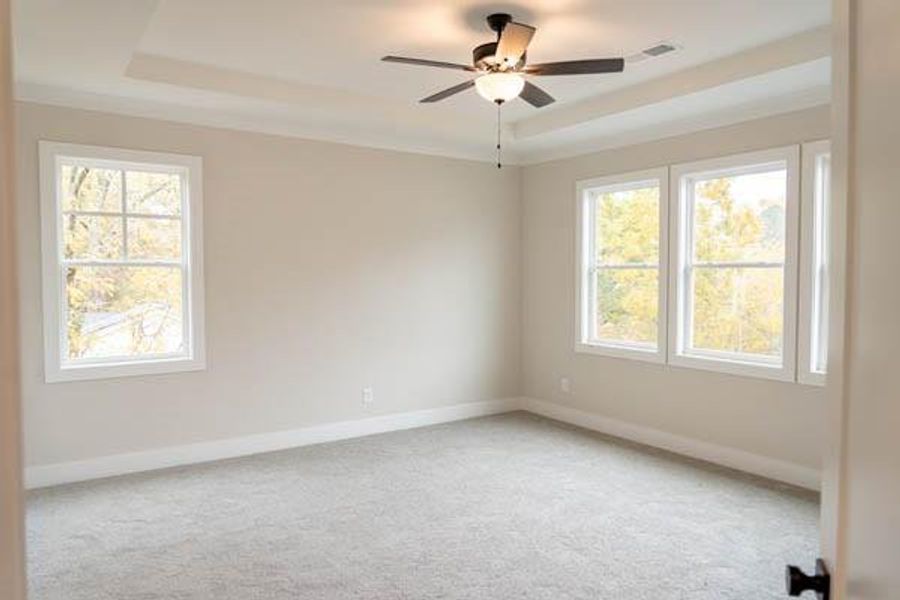 Carpeted empty room featuring ceiling fan, a wealth of natural light, and a tray ceiling Carpeted empty room featuring ceiling fan, a wealth of natural light, and a tray ceiling