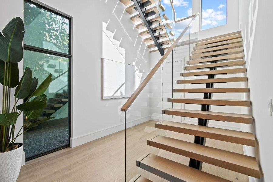 2085VitexLn(54) 2085VitexLn(54)