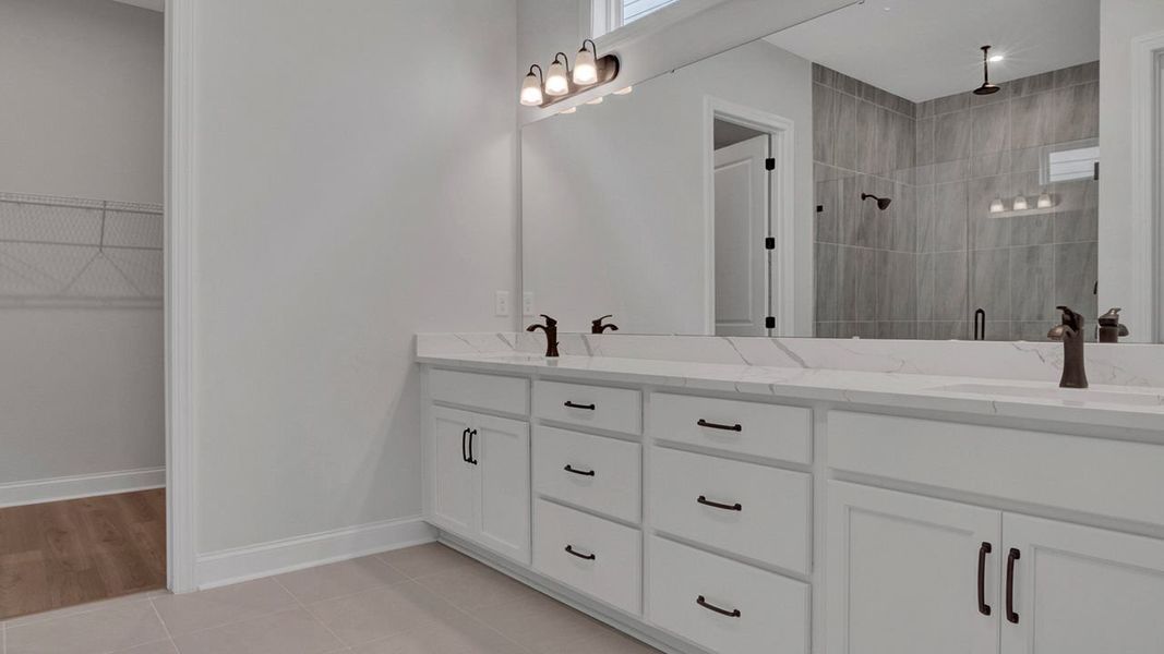 Owner's Bath