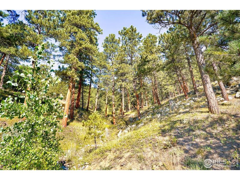 Natural landscape and outdoor views near in Boulder (Image 18). Natural landscape and outdoor views near in Boulder (Image 18).