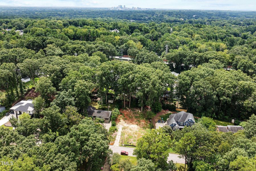 10-web-or-mls-DJI_0200