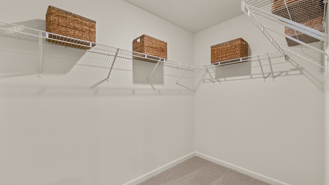 Image 31 representing the Hamlin by D.R. Horton in Oakchase at Hampton, Hampton, GA.