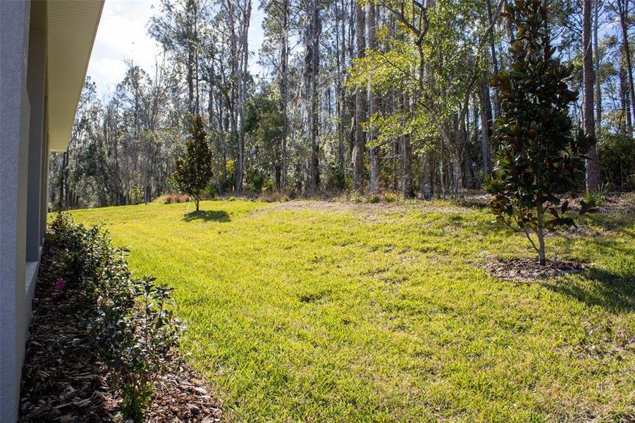 Exterior details and patio area of a home in , Brooksville (Image 26).