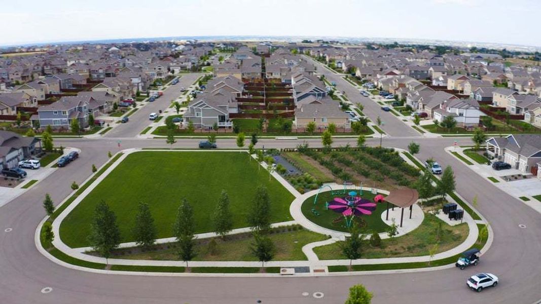 Community Orchard and Playground