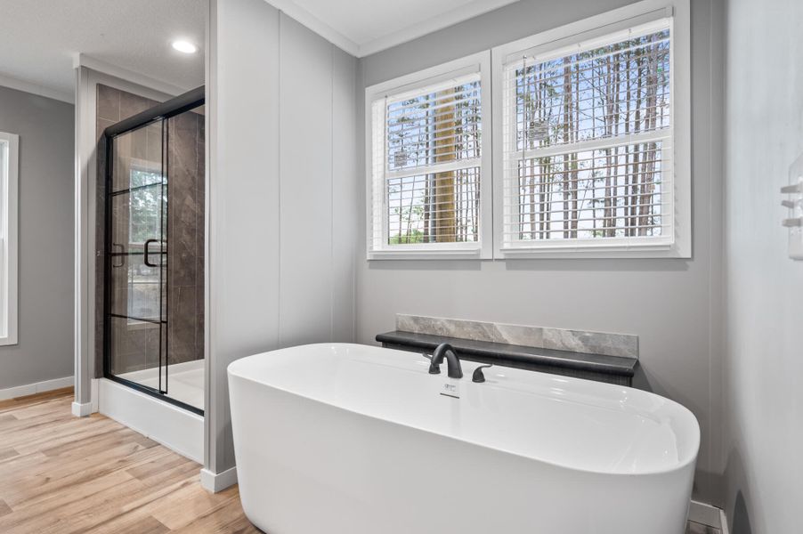 Furnished interior view inside a new home in , Eutawville (Image 5).