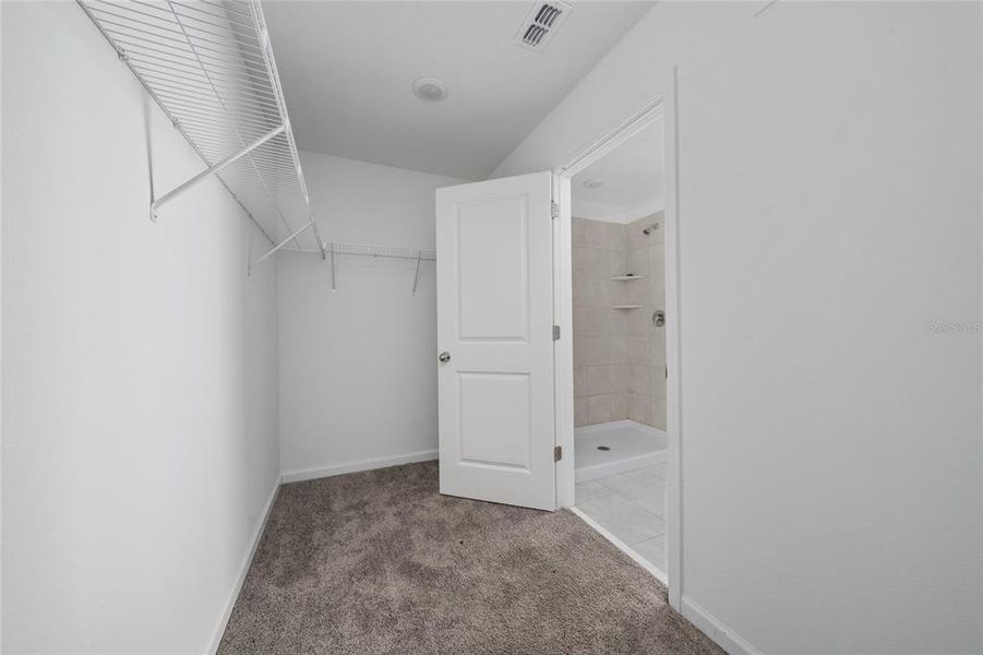 Spacious, unfurnished interior of a new home in Ranches at Lake Mcleod: Legacy Collection, Eagle Lake (Image 12).