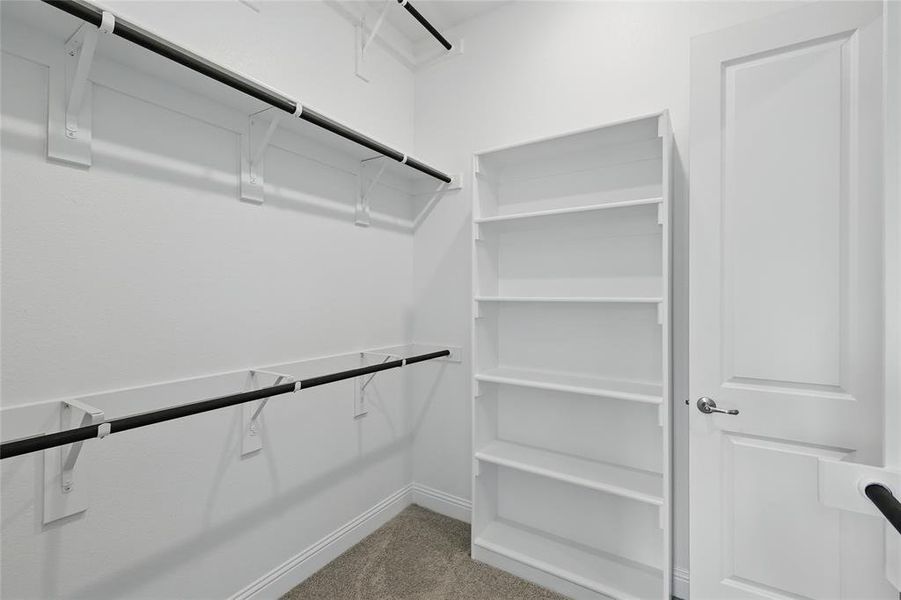 Spacious closet featuring light carpet