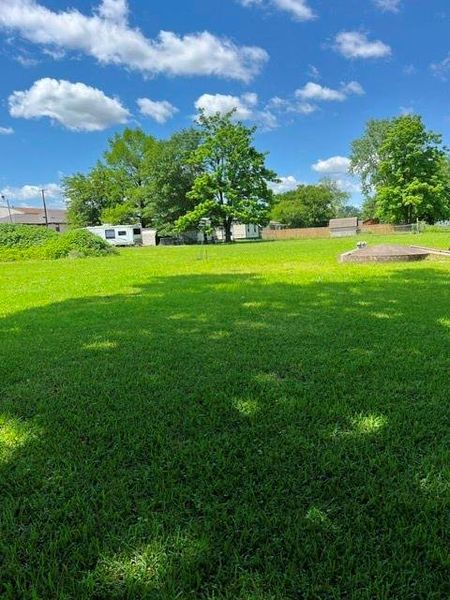 Expansive green lawn with mature trees and open sky Expansive green lawn with mature trees and open sky