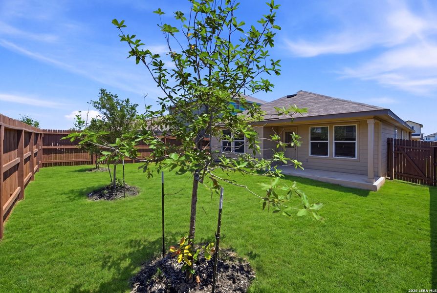 Exterior details and patio area of a home in Avenida, Converse (Image 19). Exterior details and patio area of a home in Avenida, Converse (Image 19).