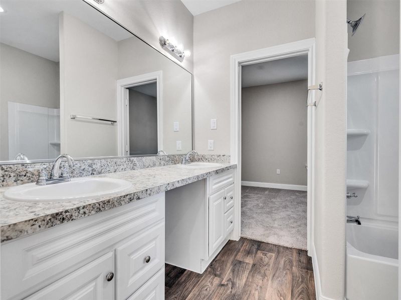 Jack and Jill Bathroom