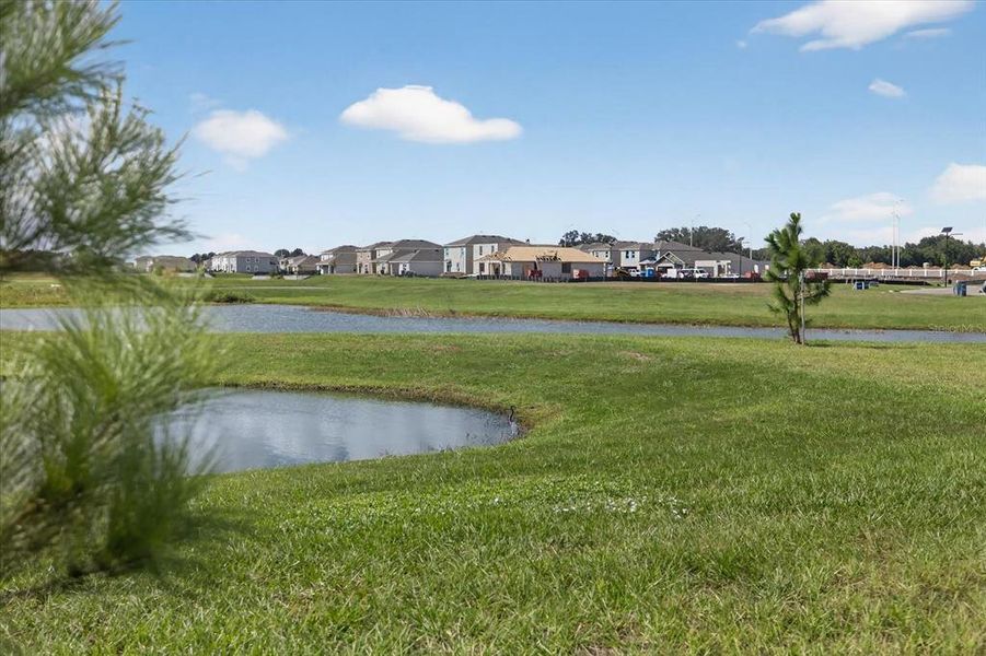 Natural landscape and outdoor views near in San Antonio (Image 50). Natural landscape and outdoor views near in San Antonio (Image 50).