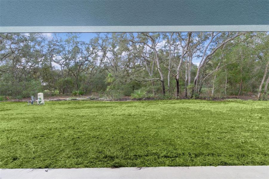 Natural landscape and outdoor views near  in Ocklawaha (Image 32).