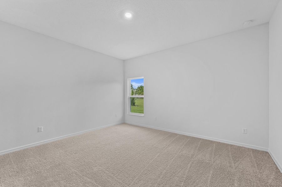 Florida_Crane_L_011