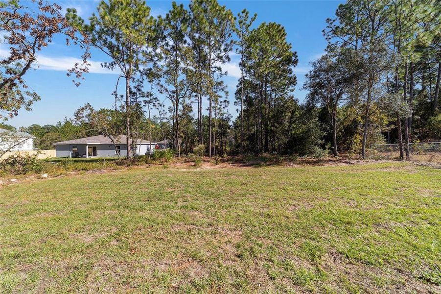 Natural landscape and outdoor views near  in Dunnellon (Image 25).