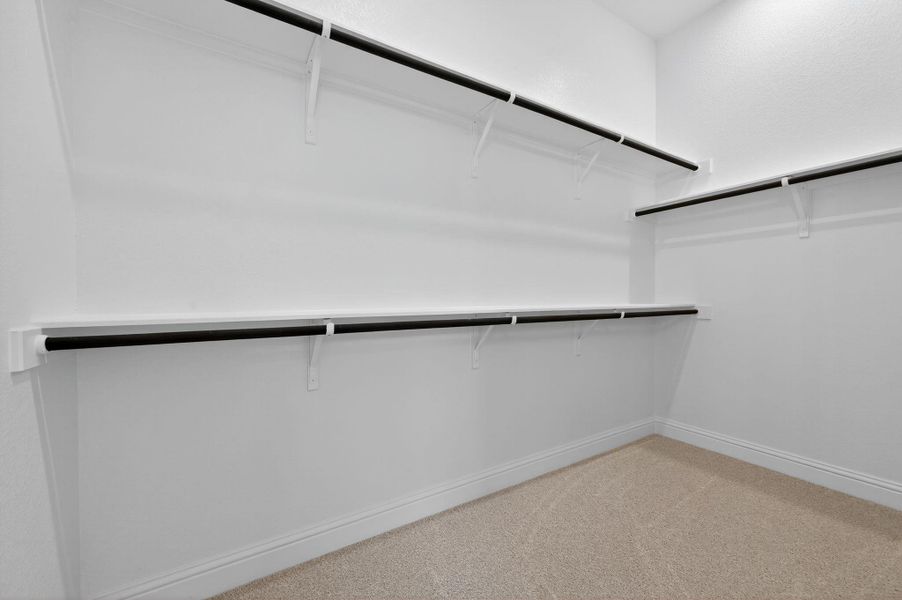 Spacious closet featuring light carpet