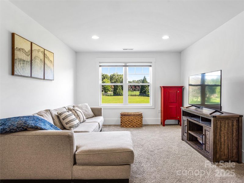 Furnished interior view inside a new home in , Mills River (Image 18).