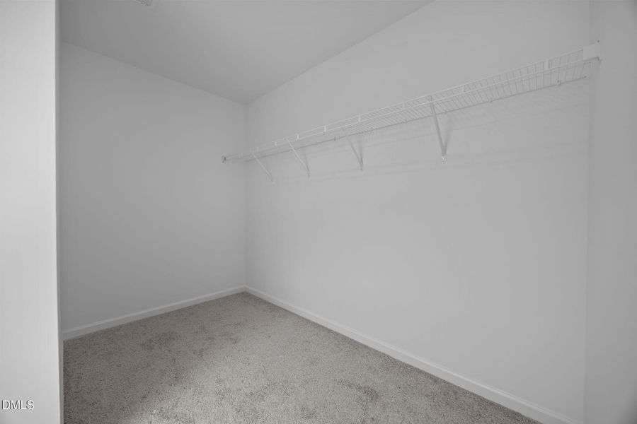 37-web-or-mls-6S8A4207