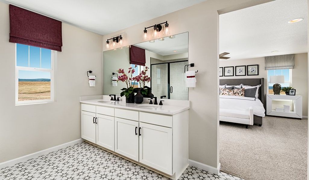 Ammolite-CO-SecondCreek