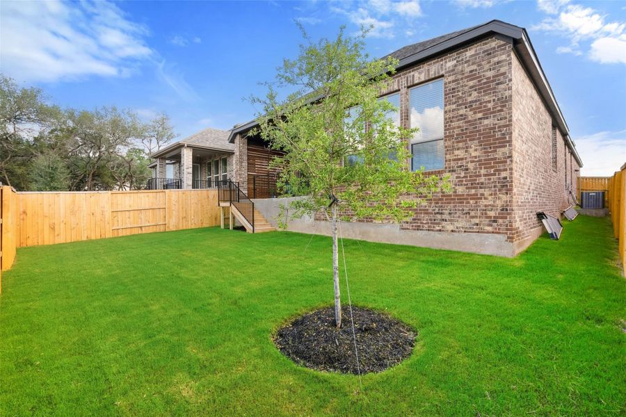 Expansive grassy yard area with a newly planted tree