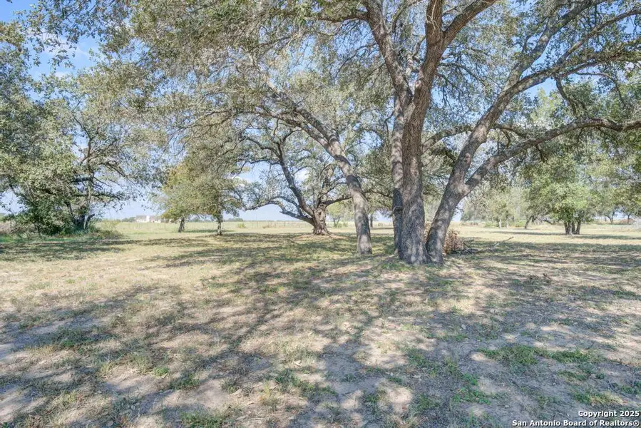 Natural landscape and outdoor views near  in Natalia (Image 22).