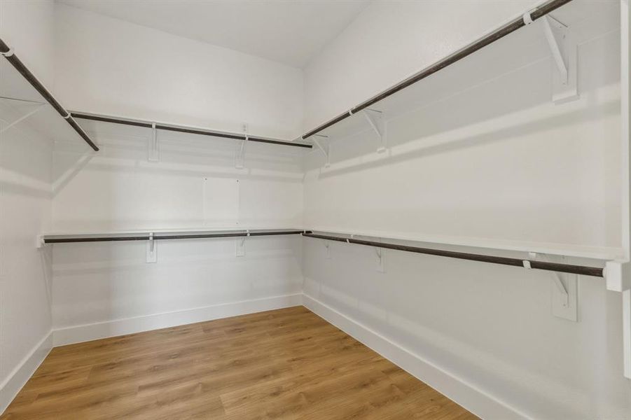 Spacious closet featuring wood-type flooring