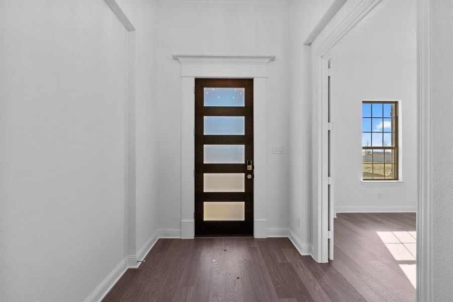 DAL_Painted Tree_Kilgore IV_3928 Attwater Street (6)