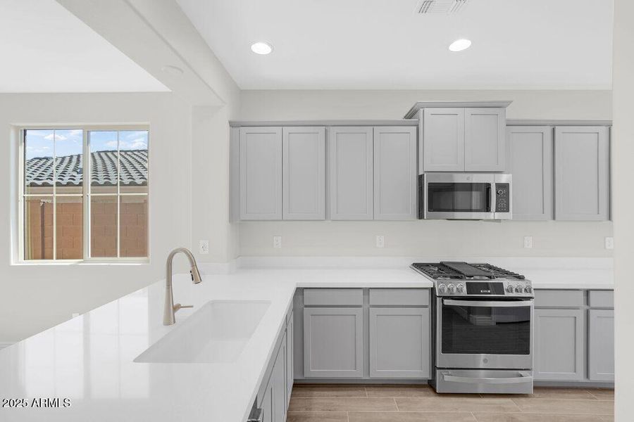 hj-az-phoenix-mystic-discovery-lily-lot-